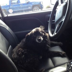 Meet your Posher, Falon